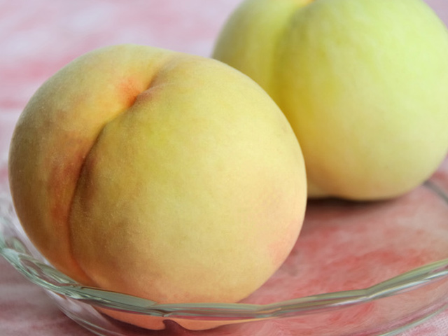 com)-【保付】モモ/清水白桃 15cmポット 3本セット 送料无料