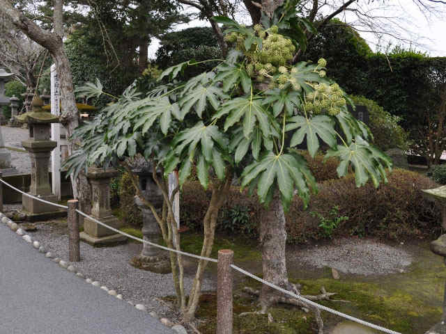 Hxcc Rzxecae3m Hxcc Rzxecae3m